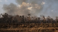 Amazon Ormanları&#039;nda 2007’den bu yana en fazla orman yangını haziran ayında görüldü