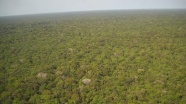 Amazon ormanlarında son 10 yılın en büyük kaybı