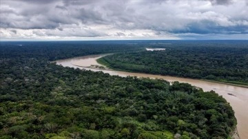 Amazon'da 2022’de günde 3 bin futbol sahası büyüklüğünde orman yok oldu