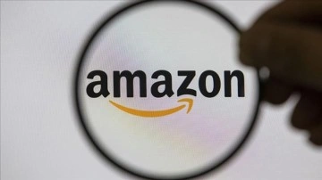 Amazon'un Fransa'daki deposunu fareler 'istila' etti