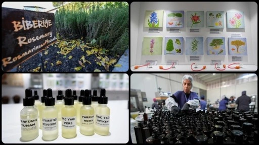 Anadolu'nun güzellik tarifleri Türk kozmetik sektörüne yeni fırsatlar sunuyor