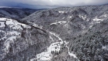 'Anadolu'nun yüce dağı' Ilgaz'da kar yağışı drone ile görüntülendi