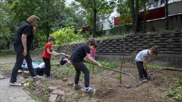 Anaokulu öğrencileri mutfak atıklarıyla işledikleri okul bahçesinde meyve sebze yetiştiriyor