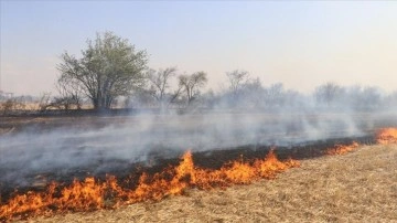 Anız yakılması toprak ekosistemini bozuyor