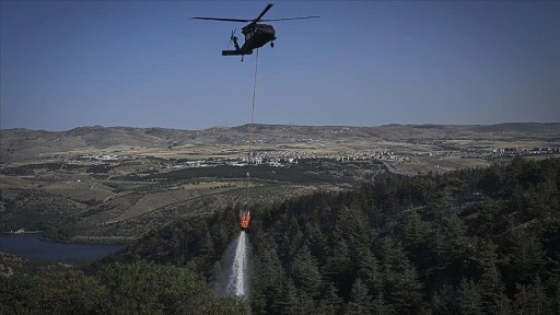 Ankara'da ormanlık alanlara giriş yasağı 30 Eylül'e kadar uzatıldı