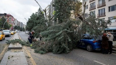 Ankara'da şiddetli r&uuml;zgarda devrilen ağa&ccedil;lar nedeniyle 2 ara&ccedil; hasar g&ouml;rd&uuml;