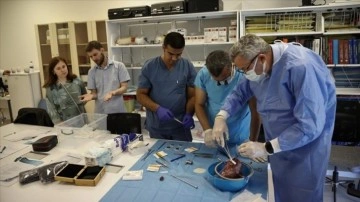 Ankara Şehir Hastanesi kalp yetmezliğinde 'Uluslararası Eğitim Merkezi' oldu