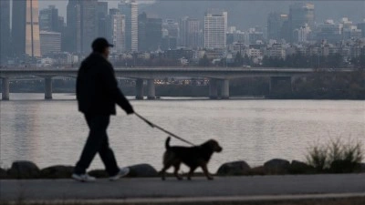 Ankete g&ouml;re G&uuml;ney Kore'de her 10 evden yaklaşık 3'&uuml;nde evcil hayvan besleniyor