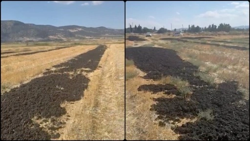 Antalya'da arıtma tesisinden çıkan çamuru Burdur'da boş araziye döken firmaya 48,6 milyon