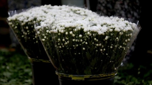 Antalya'da çiçek mezatlarında Öğretmenler Günü yoğunluğu