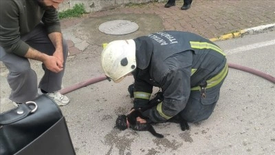 Antalya'da itfaiye ekipleri yangında baygın buldukları kediyi kalp masajıyla hayata d&ouml;nd&uuml;rd&uuml;