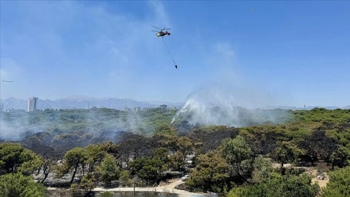Antalya'da son bir haftada çıkan 37 orman yangınında 52 hektarlık alan zarar gördü