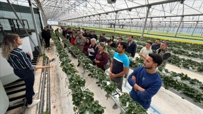 Antalya'da &uuml;niversite &ouml;ğrencileri &ccedil;ilek &uuml;retim tesisinde "topraksız tarım"la tanıştı