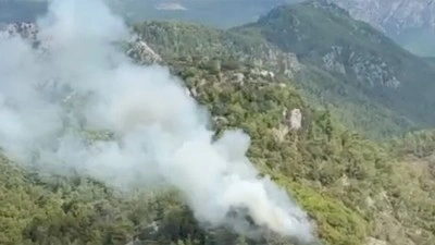 Antalya ve Balıkesir'de &ccedil;ıkan orman yangınlarına m&uuml;dahale ediliyor