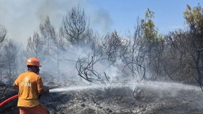 Antalya ve Balıkesir'de orman yangını