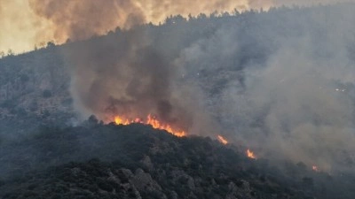 Antalya ve Muğla'daki orman yangınlarına m&uuml;dahale ediliyor