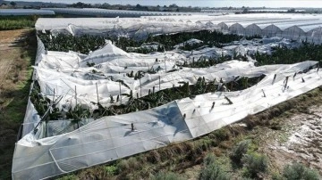 Antalya'da çıkan hortumda muz seraları zarar gördü