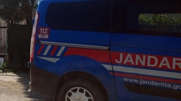 Antalya'da çoban köpeklerinin saldırısına uğrayan kadın öldü