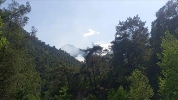 Antalya'da ormanlık alanda çıkan yangın kontrol altına alındı