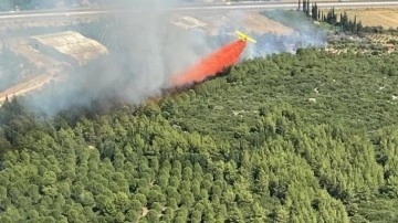Antalya'nın Aksu ilçesinde orman yangını çıktı
