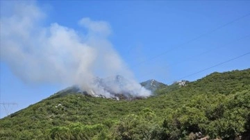 Antalya'nın Demre ilçesinde çıkan orman yangını kontrol altına alındı