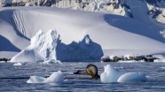 Antarktika'da Çevre Koruma Protokolü'nün Uygulanmasına Dair Yönetmelik yayımlandı