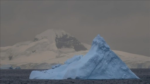Antarktika'daki Hektoria Buzulu'nun 2 ayda 8 kilometreden fazla geri çekildiği ortaya çıkt