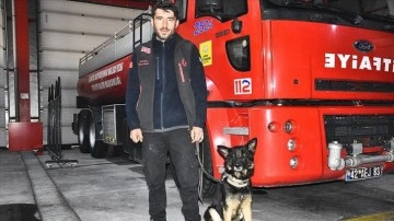 Arama kurtarma köpeği "Gece" enkaz altındaki 18 kişiye ulaşılmasını sağladı