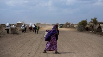 Arap Birliği ve BM himayesinde 'Somali'deki kuraklıkla mücadele' konulu konferans düz