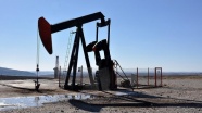 Arar Petrol 5 petrol arama ruhsatı için başvurdu