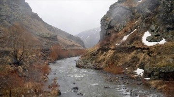 Aras Dağları'nda karlar erimeye başladı