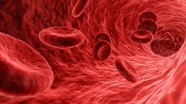 Araştırma: Kan sulandırıcı ilaçlar, Koronavirüs hastalarının hayatta kalma şansını arttırabilir