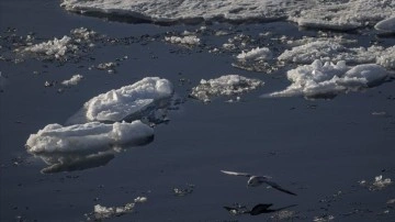 Araştırmalar Grönland'ın saatte 30 milyon ton buz kaybettiğini gösterdi