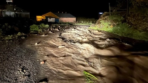 Ardahan'da sel 2 köyde hasara yol açtı