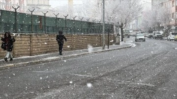 Ardahan, Tunceli ve Kars'ta kar yağışı etkili oluyor