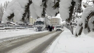 Ardahan ve Kars'ta kar etkili oldu