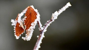 Ardahan'da kar, Erzurum ve Kars'ta soğuk hava etkili oluyor