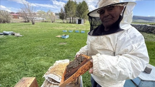 Ardahanlı 101 yaşındaki Kazım dede, 69 yıldır arılarla yaşam sürüyor