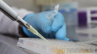 Arı zehrini nanoteknolojiyle buluşturan y&ouml;ntemle akut b&ouml;brek hasarını tedavi etmeyi hedefliyorlar