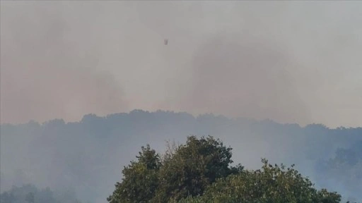 Arnavutluk'ta orman yangınları etkili oluyor