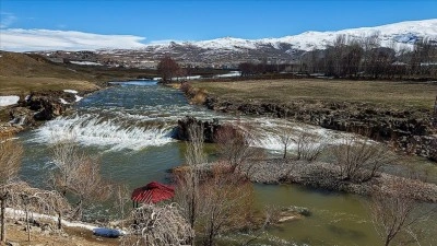 Artan yağışlar "Van G&ouml;l&uuml;'n&uuml;n incileri"nin &uuml;reme d&ouml;nemini sorunsuz ge&ccedil;irmesini sağlaya