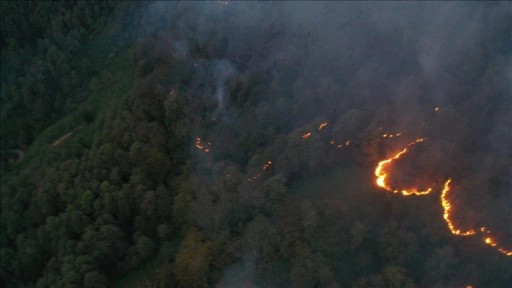 Artvin'deki örtü yangını kontrol altına alındı