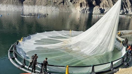 Artvin'den 67 ülkeye Türk somonu ihraç edildi