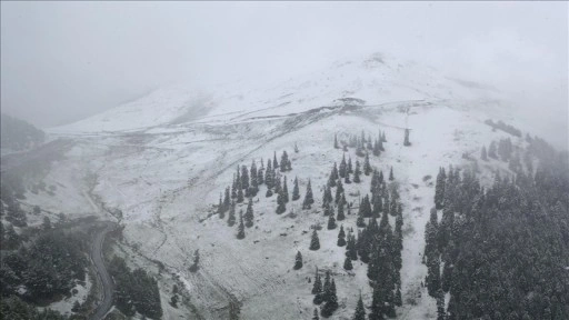 Artvin'in yüksek kesimlerinde kar etkili oldu