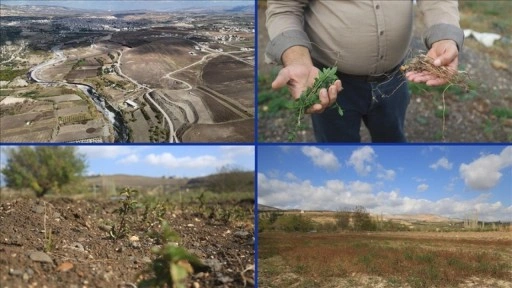 Asi Nehri’nin kuraklığı İdlib’de gıda krizi ve geçim sıkıntısını derinleştiriyor