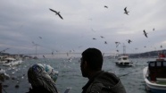 Asırlık çınarın altı İstanbulluların buluşma noktası oldu