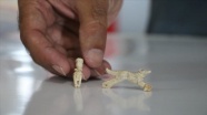 Assos&#039;ta 1600 yıllık insan ve hayvan figürlü iki kolye ucu bulundu