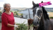 At sevgisi nedeniyle emeklilikten sonra yeniden meslek sahibi oldu