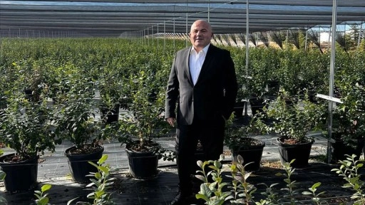 Atıklardan elde edilen enerji Ankara'da "yaban mersini" yetişmesini sağladı
