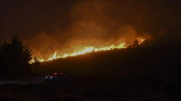 Atina yakınlarında orman yangını